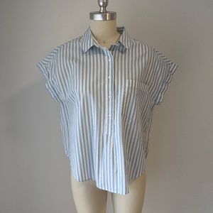 Button Down Shirt
